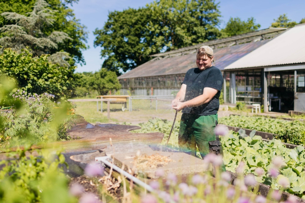 Ein Mann steht in einem Beet und bewässert Pflanzen mit einem Gartenschlauch